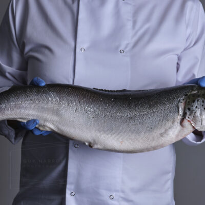 fish photography Devon Cornwall &copy; Guy Harrop 2026