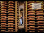 swiss gruyere cheese photo