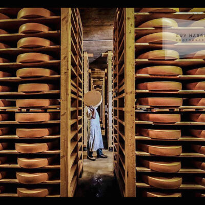 swiss gruyere cheese photo © Guy Harrop 2024