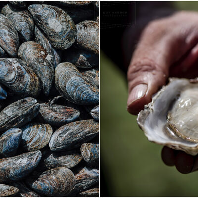 commercial food photographer devon cornwall © Guy Harrop 2024