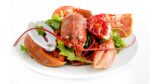 lobster