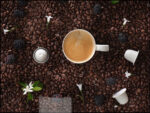 coffee photography