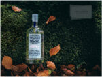 bottle of Wicked Wolf gin surrounded by autumnal leaves