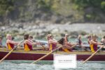 gig racing in Clovelly, Devon