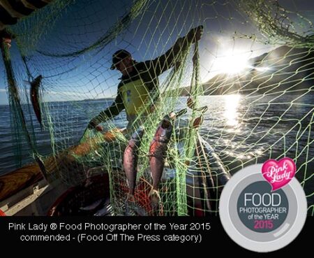 Photo by Guy Harrop 14/11/14. Clovelly harbour master Stephen Perham whose family have been fishing for Herring for over 200 years pulls in the days herring catch ahead of the Clovelly's annual Herring Festival at the weekend, North Devon. He is a 6th generation herring fisherman and uses a traditional wooden picarooner boat and drifting nets. The fishing village originally worked over 80 herring boats employing over 200 men, today , there are just 2 boats fishing for herring. 



from shoot: herring festival