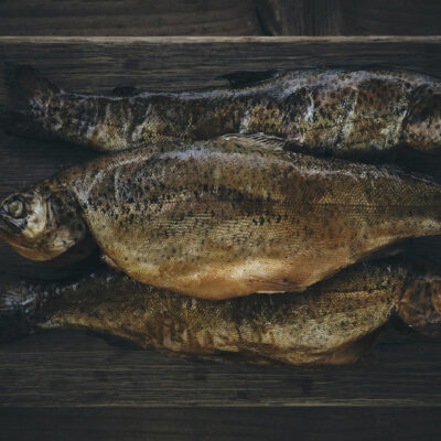 smoked trout fish © Guy Harrop 2023