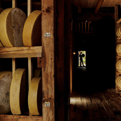 commercial cheese production photography photo &copy; Guy Harrop 2026