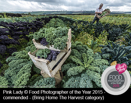 food photography devon world food awards 2015 commended

© Guy Harrop | http://guyharrop.com